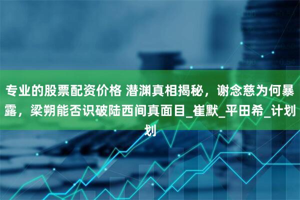 专业的股票配资价格 潜渊真相揭秘，谢念慈为何暴露，梁朔能否识破陆西间真面目_崔默_平田希_计划