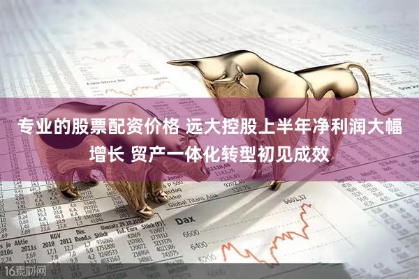 专业的股票配资价格 远大控股上半年净利润大幅增长 贸产一体化转型初见成效