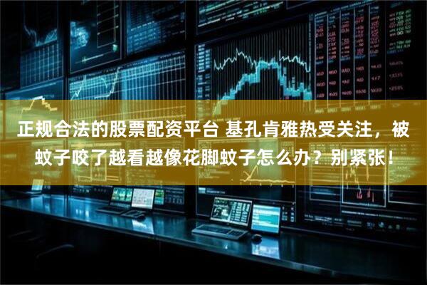 正规合法的股票配资平台 基孔肯雅热受关注，被蚊子咬了越看越像花脚蚊子怎么办？别紧张！
