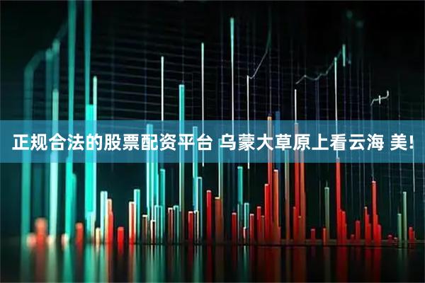 正规合法的股票配资平台 乌蒙大草原上看云海 美!