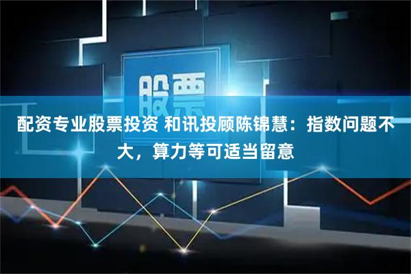 配资专业股票投资 和讯投顾陈锦慧：指数问题不大，算力等可适当留意